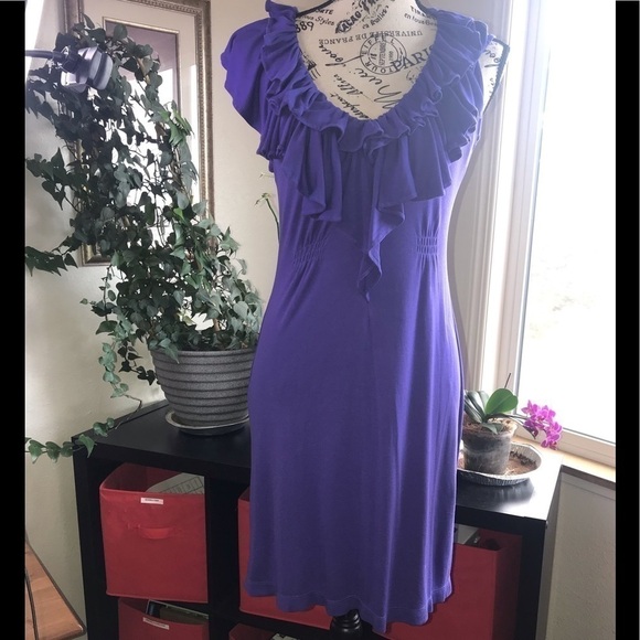 🌻 BCBG Maxazria Periwinkle Dress - Picture 2 of 9